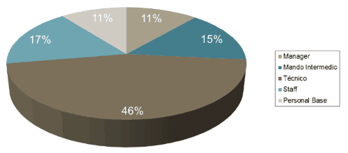 Porcentaje de recolocación por categoría profesional